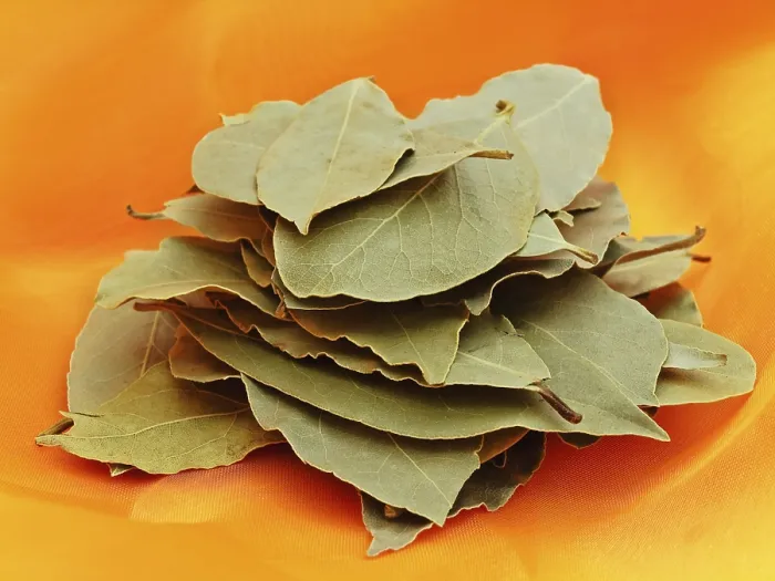 Framed Print : Green Bay Leaves Over Orange Tectile Background