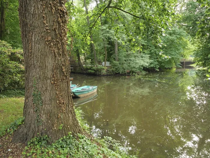 Framed Print : A green boat lies next to a tree by a quiet pond