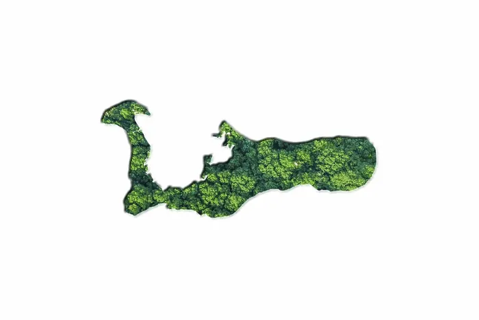 Framed Print : Green Forest Map of Cayman Islands
