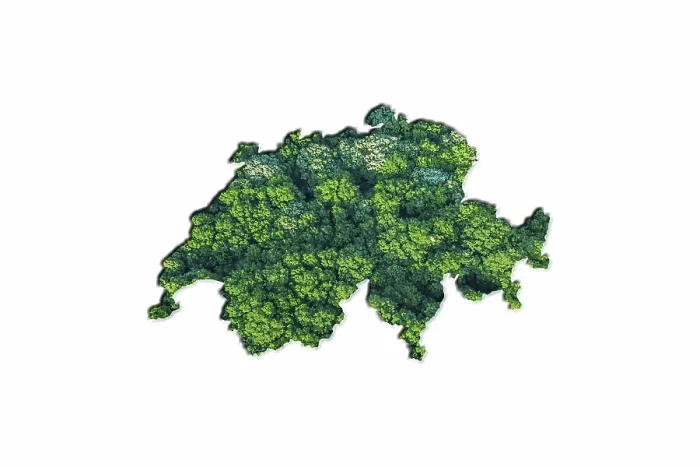 Framed Print : Green Forest Map of Switzerland Framed Print : Green Forest Map of Switzerland