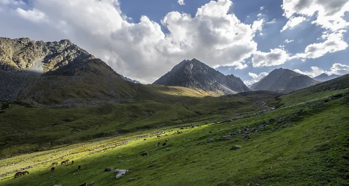 Framed Print : Green high valley with mountains