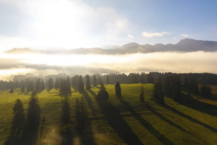 Framed Print : Green meadow in morning light, surrounded by fog and mountain skyline