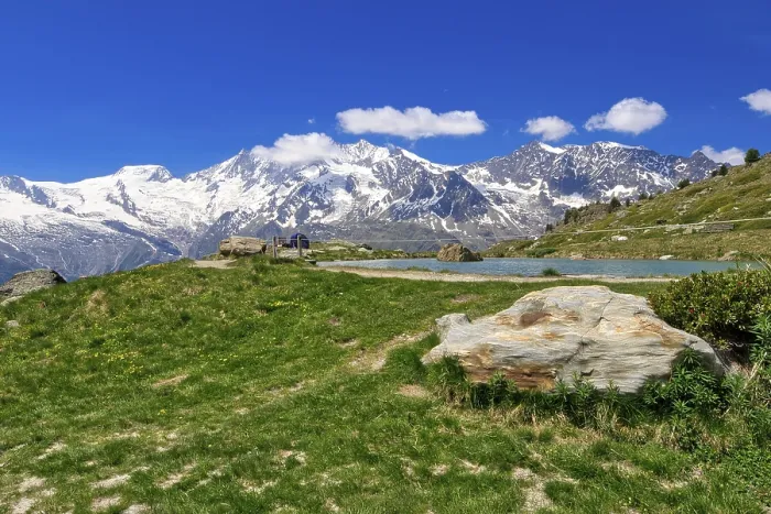 Framed Print : Green meadow with rocks in front of a snow-covered mountain panorama under a clear sky Framed Print : Green meadow with rocks in front of a snow-covered mountain panorama under a clear sky
