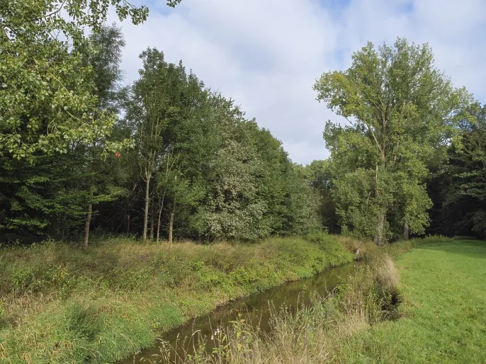 Framed Print : Green meadow and stream surrounded by trees at the edge of the forest
