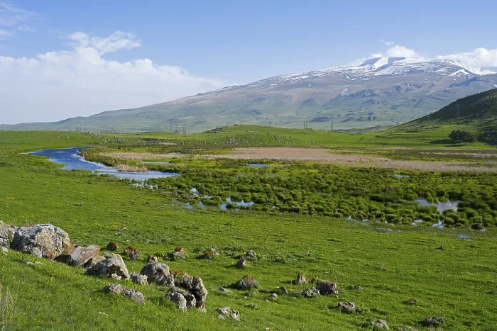 Framed Print : Green meadows with a meandering stream and a mountain range in the background under a clear sky