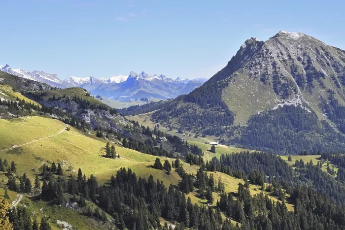 Framed Print : Green meadows and pine forests on the mountain slopes