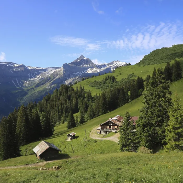 Framed Print : Green meadows in Topfelsberg and Mount Oldenhorn Framed Print : Green meadows in Topfelsberg and Mount Oldenhorn