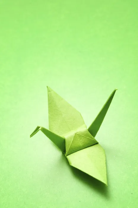 Framed Print : Green origami crane on a matching green background