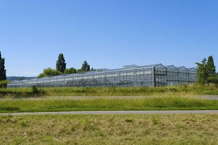 Framed Print : Greenhouses on Reichenau Island Framed Print : Greenhouses on Reichenau Island