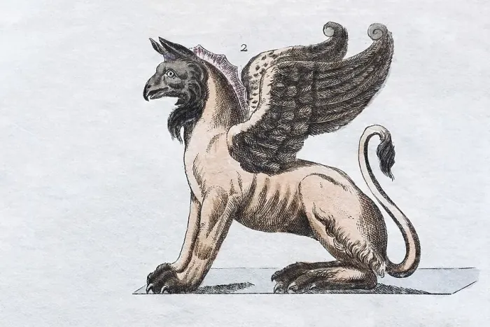 Framed Print : Griffin, hand - colored engraving from Friedrich Justin Bertuch Picture book for children Framed Print : Griffin, hand - colored engraving from Friedrich Justin Bertuch Picture book for children