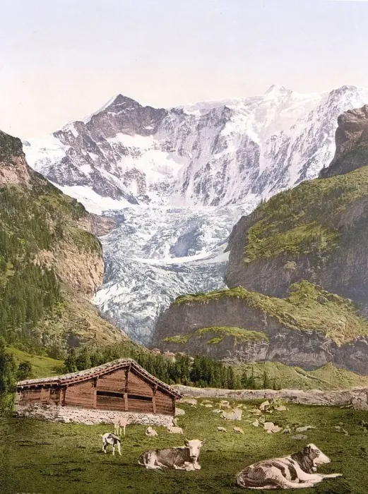 Framed Print : Grindelwald, Chalet und Vischerhorn Framed Print : Grindelwald, Chalet und Vischerhorn