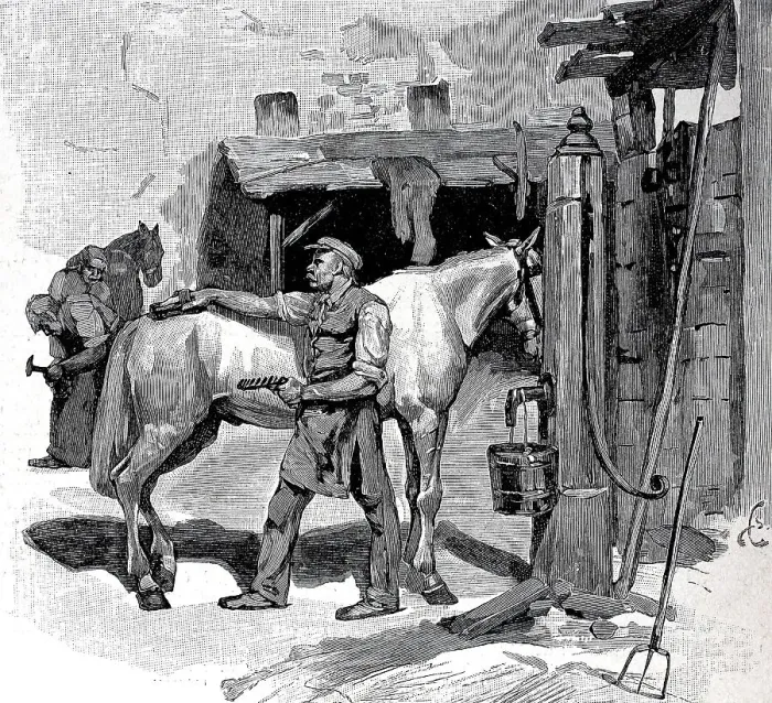 Framed Print : Groom and farrier of the Berlin cabmen