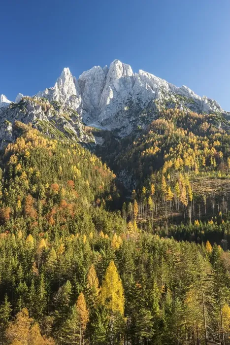 Framed Print : Grosser Oedsten in autumn, Gesaeuse National Park