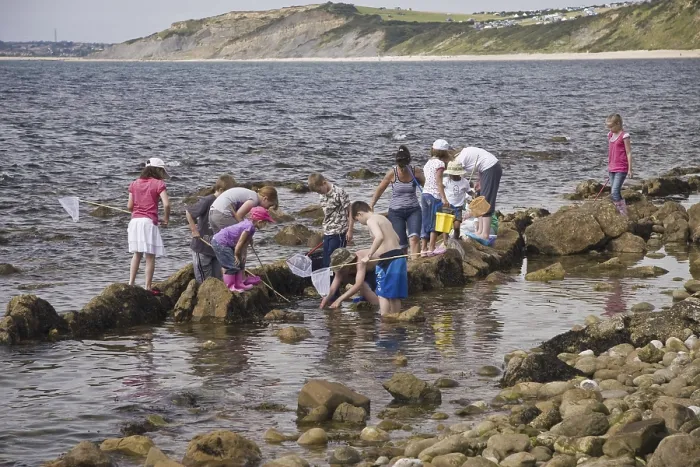 Framed Print : Group of children exploring rock pools on the coast with nets and buckets