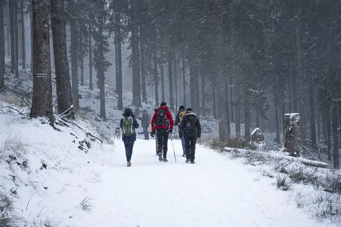 Framed Print : A group of hikers walks in snowfall on a forest path on the GroBer Feldberg im Taunus (Hesse)