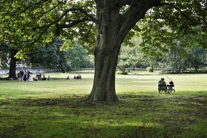 Framed Print : Group of people meeting in Kleistpark in summer weather