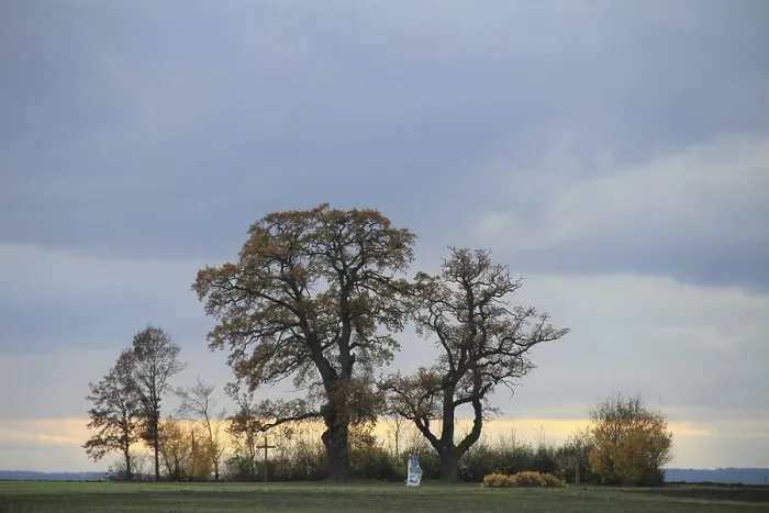 Framed Print : Group of trees in autumn, memorial plaque and cross Framed Print : Group of trees in autumn, memorial plaque and cross