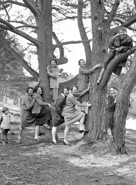 Framed Print : A group of women climbing a tree Framed Print : A group of women climbing a tree
