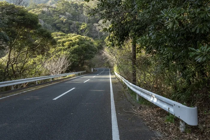 Framed Print : Guardrail and tarmac road through green vegetation and mountain landscape in the evening light