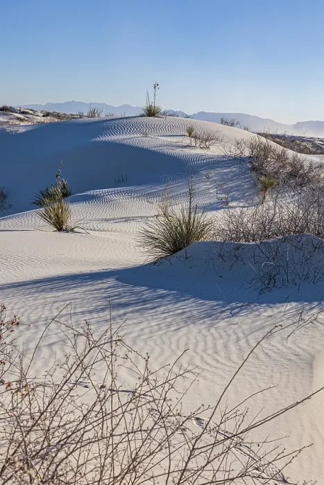 Framed Print : Gypsum dunefields at White Sands National Monument located within the Chihuahuan Desert Framed Print : Gypsum dunefields at White Sands National Monument located within the Chihuahuan Desert