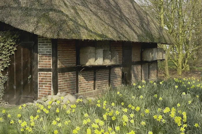 Framed Print : Half-timbered house with daffodils and beehives Framed Print : Half-timbered house with daffodils and beehives