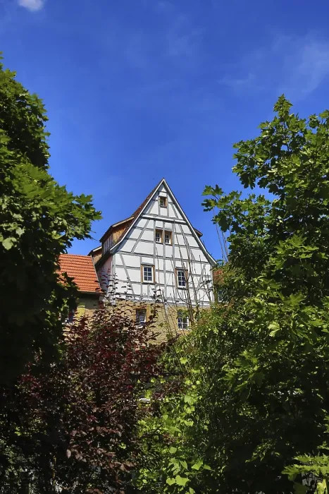 Framed Print : Half-timbered house towering between green trees in the blue sky Framed Print : Half-timbered house towering between green trees in the blue sky