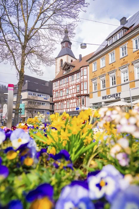 Framed Print : Half-timbered houses surrounded by flowers Framed Print : Half-timbered houses surrounded by flowers