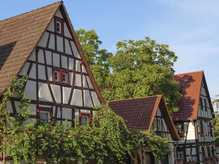 Framed Print : Half-timbered houses with walls overgrown with ivy