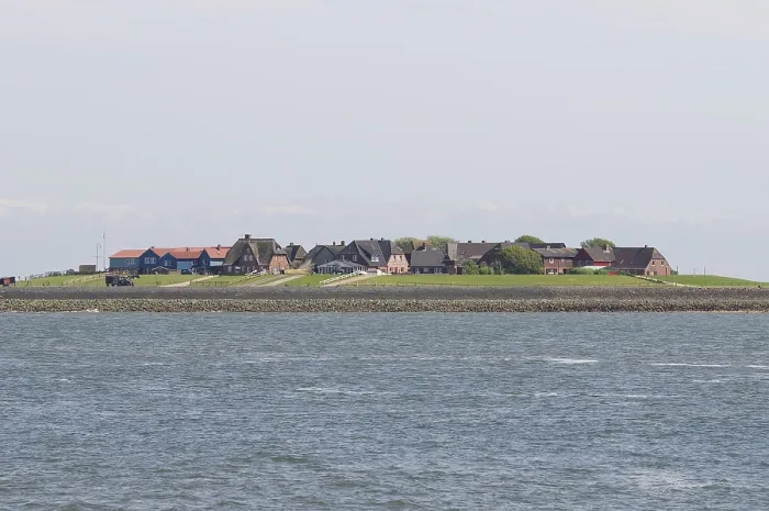 Framed Print : Hallig hooge (hooge)