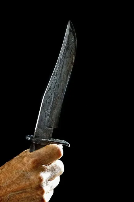 Framed Print : Hand with Damascus knife, Germany, Europe