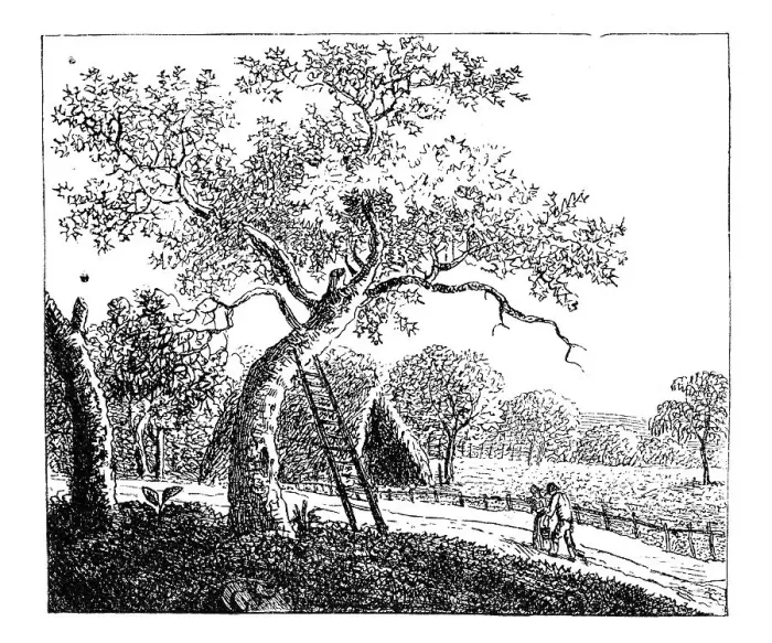 Framed Print : Handmade etching by Koerner, historic illustration from Deutsche Literaturgeschichte Framed Print : Handmade etching by Koerner, historic illustration from Deutsche Literaturgeschichte