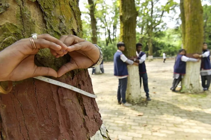 Framed Print : Hands forming a heart shape around a tree trunk with people in the background