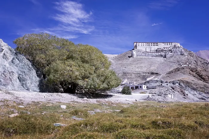 Framed Print : Hanle Monastery (Gompa), Ladakh, India