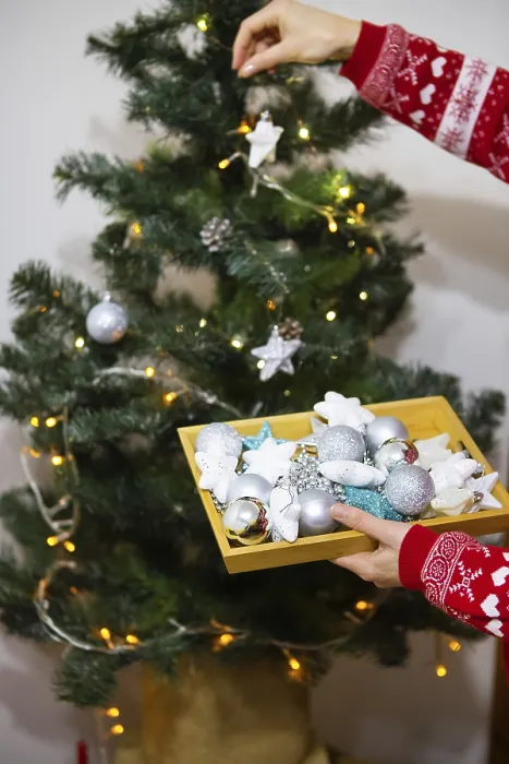 Framed Print : A happy girl in a red sweater holds a tray of Christmas toys and decorates the Christmas tree at home for Christmas