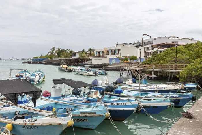 Framed Print : Harbour, Santa Cruz, Galapagos, Ecuador