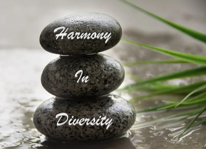Framed Print : Harmony in diversity text engraved on stones