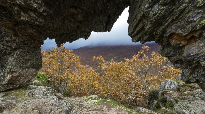 Framed Print : Hayedo de la Pedrosa Natural Protected Area