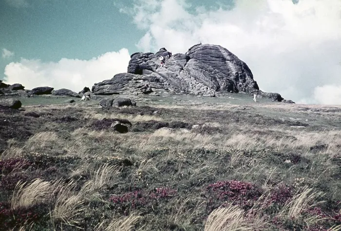 Framed Print : Haytor Rocks, Dartmoor National Park, Devon, England, United Kingdom September 1960 Framed Print : Haytor Rocks, Dartmoor National Park, Devon, England, United Kingdom September 1960