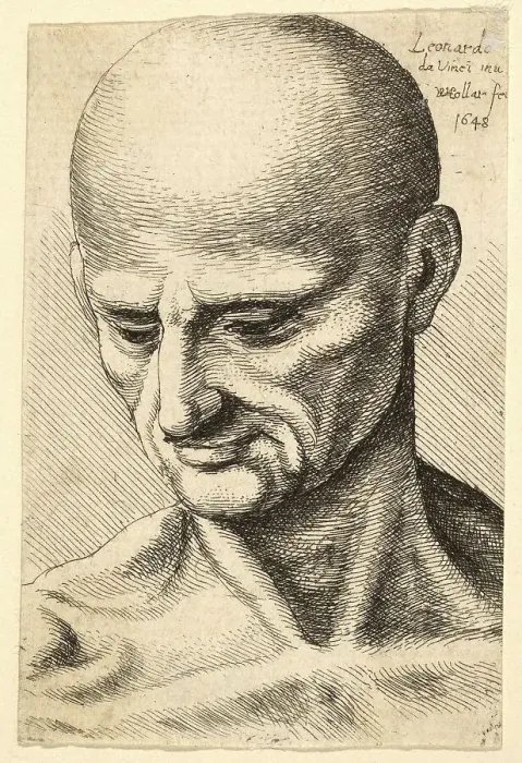 Framed Print : Head of a Bald, Sinewy Man Looking Down