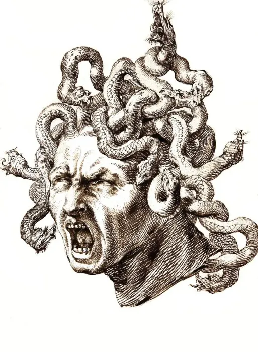Framed Print : Head of Medusa, in Greek mythology a Gorgon