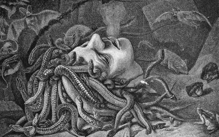 Framed Print : Head of Medusa, historic illustration, 1877 Framed Print : Head of Medusa, historic illustration, 1877