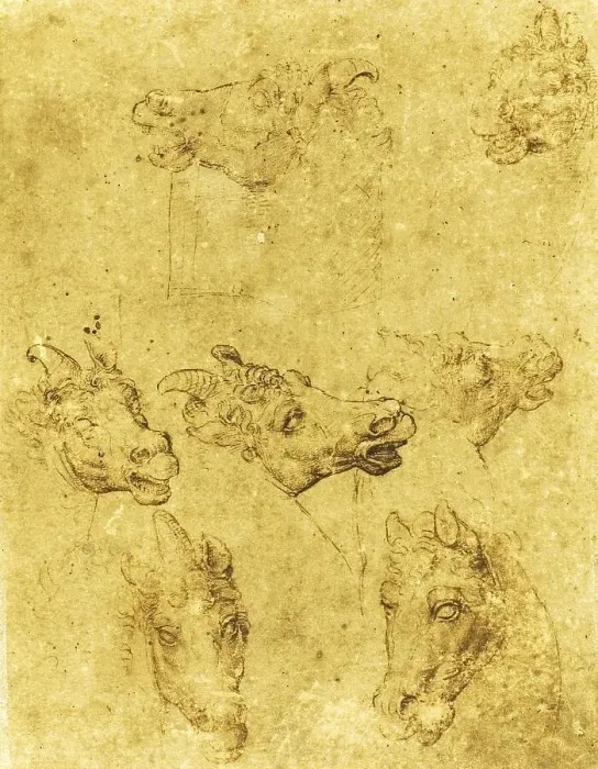Framed Print : Heads of Horses and Unicorns, after Leonardo da Vinci