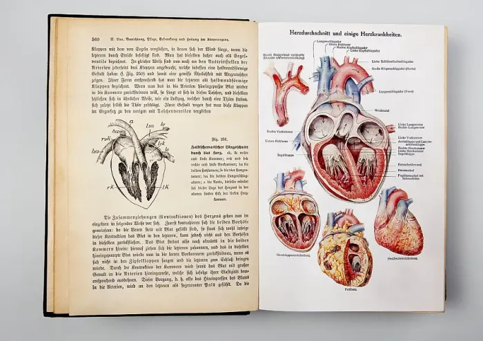 Framed Print : Heart diseases, illustrations from the book Dr