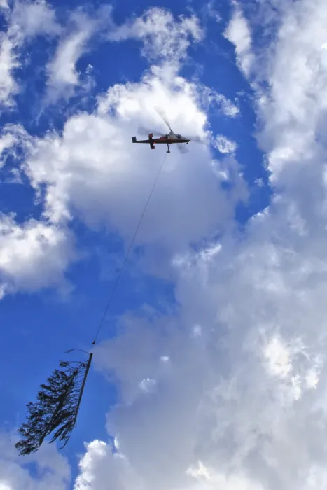 Framed Print : A helicopter transports a tree through a cloudy sky