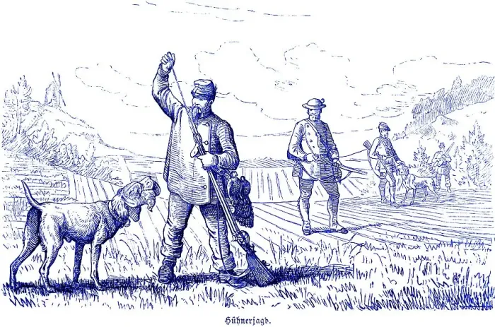 Framed Print : Hen hunt, partridges, driven hunt Framed Print : Hen hunt, partridges, driven hunt