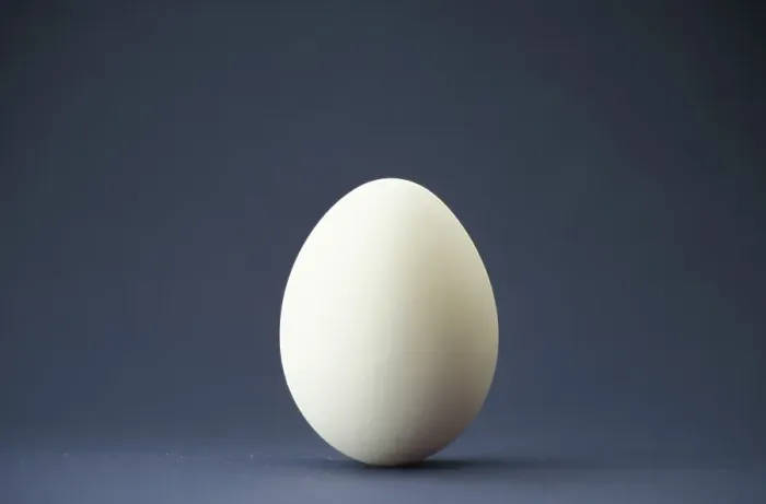 Framed Print : Hen's eggHen's egg Framed Print : Hen's eggHen's egg