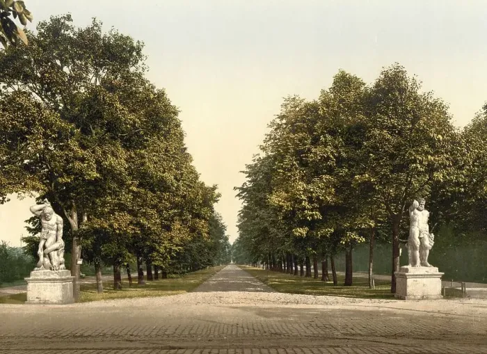 Framed Print : The Hercules Street in the Old Town of Dresden