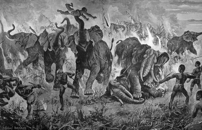 Framed Print : Herd of elephants encircled by fire in battle with natives Framed Print : Herd of elephants encircled by fire in battle with natives