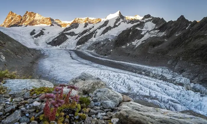 Framed Print : High alpine landscape, sunrise
