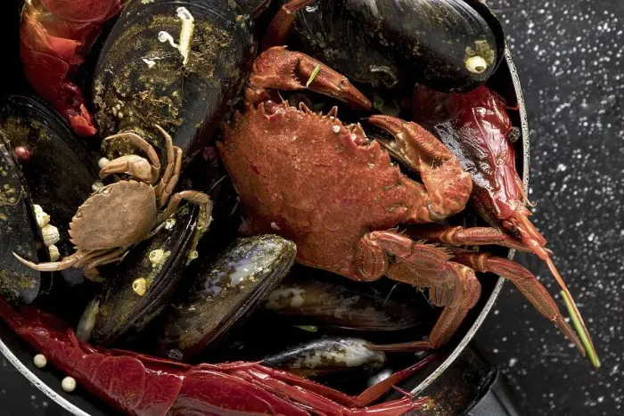 Framed Print : High angle of pan with crab and mussels Framed Print : High angle of pan with crab and mussels